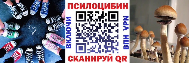 Псилоцибиновые грибы GOLDEN TEACHER  Тула 
